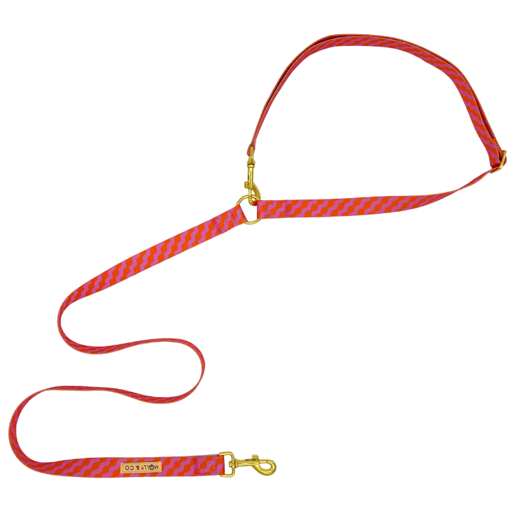 Mango Handsfree Hondenriem - Molly & Co. – Leiband van Molly & Co. | Hondenboetiek (afbeelding 3)