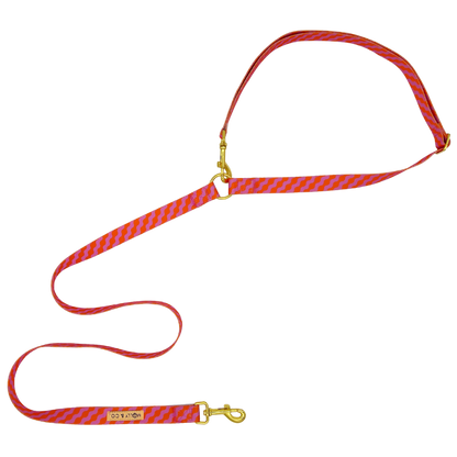 Mango Handsfree Hondenriem - Molly & Co. – Leiband van Molly & Co. | Hondenboetiek (afbeelding 3)