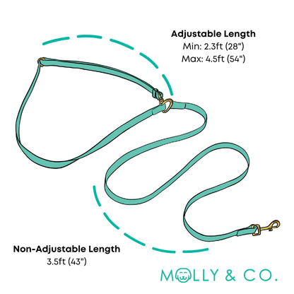 Mango Handsfree Hondenriem - Molly & Co. – Leiband van Molly & Co. | Hondenboetiek (afbeelding 4)