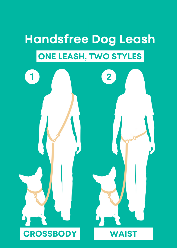 Mango Handsfree Hondenriem - Molly & Co. – Leiband van Molly & Co. | Hondenboetiek (afbeelding 5)