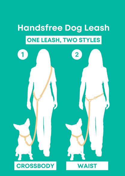 Mango Handsfree Hondenriem - Molly & Co. – Leiband van Molly & Co. | Hondenboetiek (afbeelding 5)