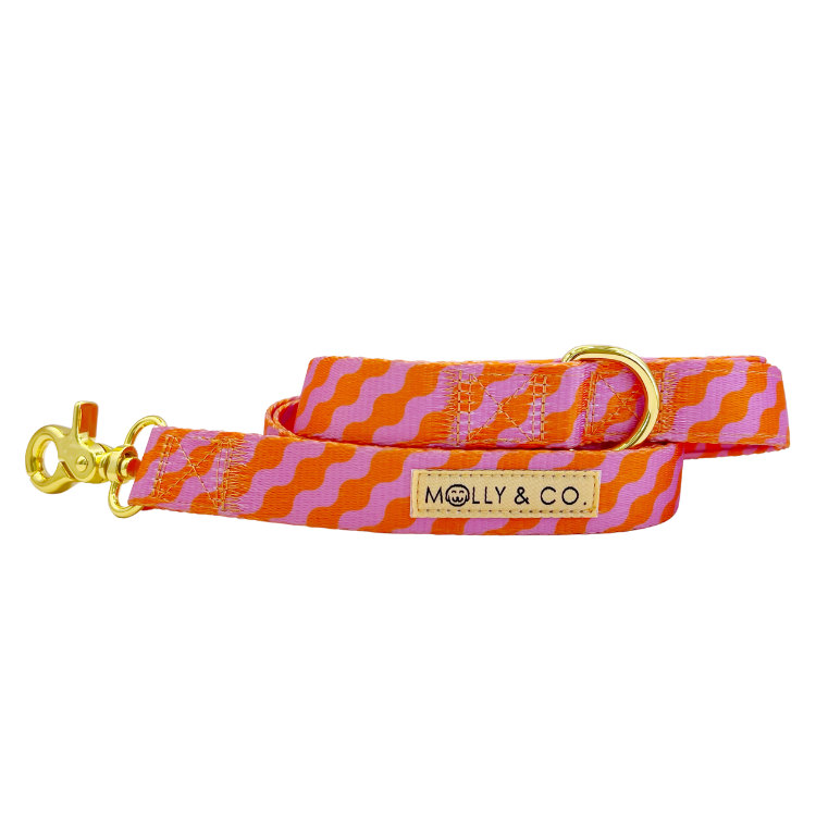 Mango Leiband – Leiband van Molly & Co. | Hondenboetiek