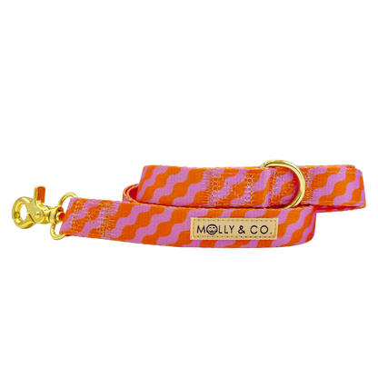 Mango Leiband – Leiband van Molly & Co. | Hondenboetiek