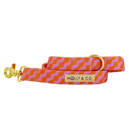 Mango Leiband – Leiband van Molly & Co. | Hondenboetiek