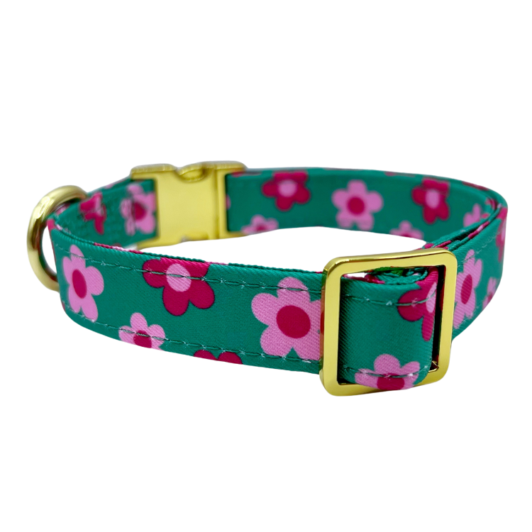 Petunia Halsband – Halsband van Molly & Co. | Hondenboetiek (afbeelding 2)