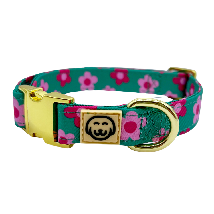Petunia Halsband – Halsband van Molly & Co. | Hondenboetiek