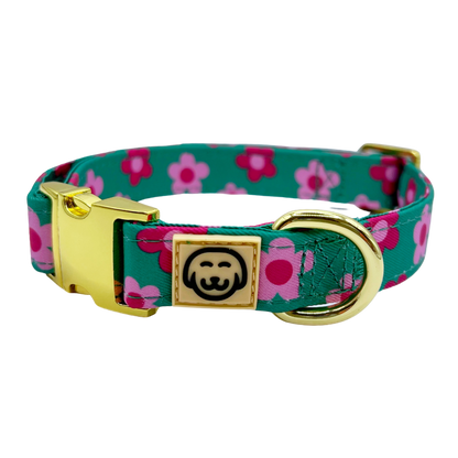 Petunia Halsband – Halsband van Molly & Co. | Hondenboetiek