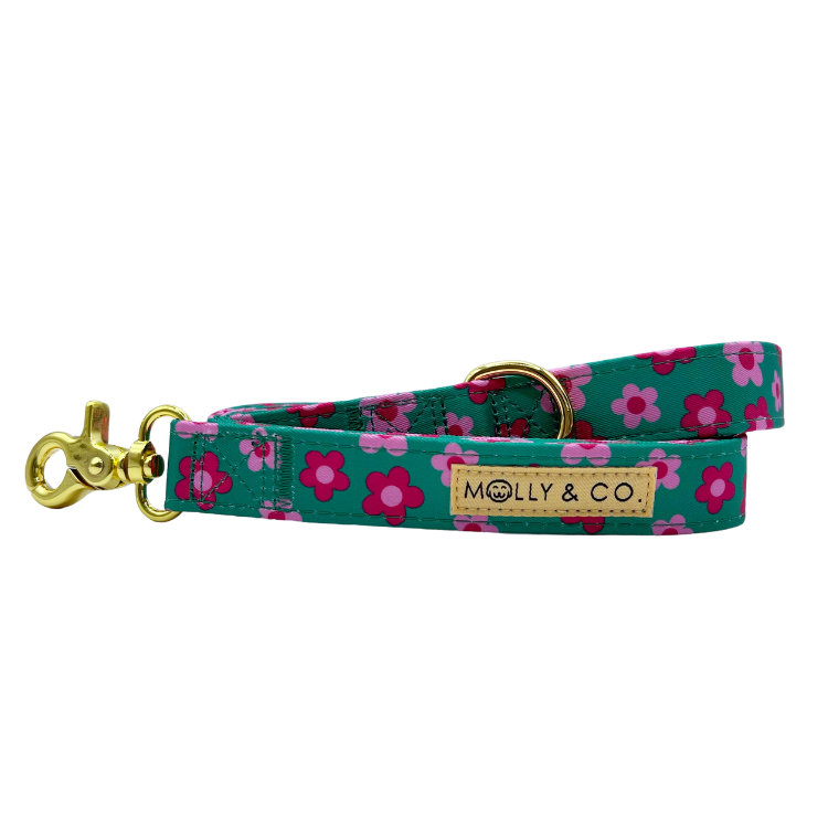 Petunia - Leiband – Leiband van Molly & Co. | Hondenboetiek