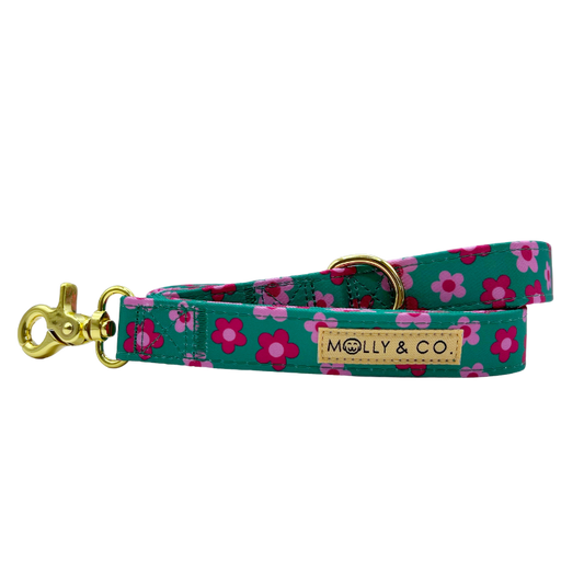 Petunia - Leiband – Leiband van Molly & Co. | Hondenboetiek