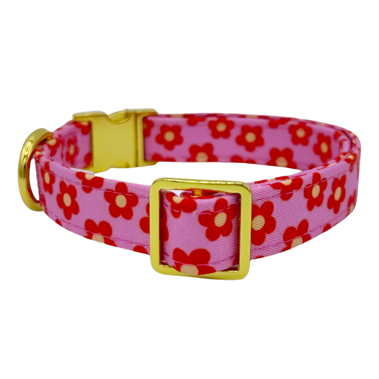Wildflower Halsband – Halsband van Molly & Co. | Hondenboetiek (afbeelding 2)
