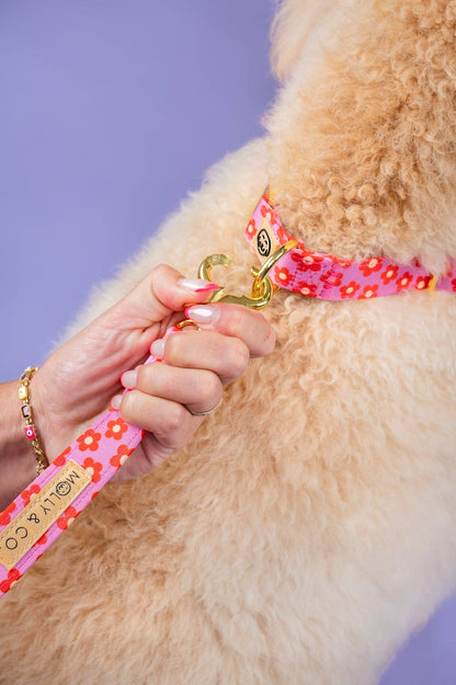 Wildflower Halsband – Halsband van Molly & Co. | Hondenboetiek (afbeelding 4)