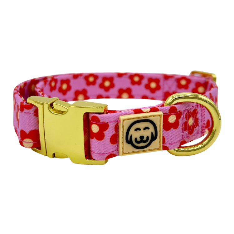 Wildflower Halsband – Halsband van Molly & Co. | Hondenboetiek