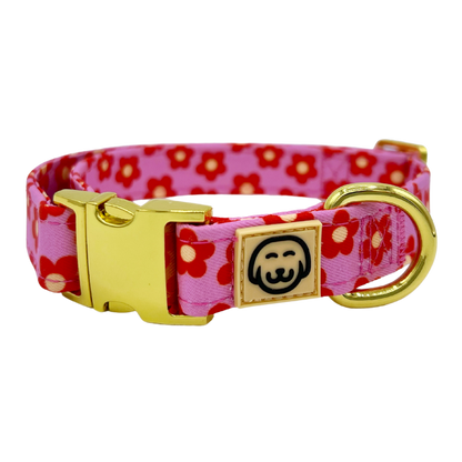 Wildflower Halsband – Halsband van Molly & Co. | Hondenboetiek