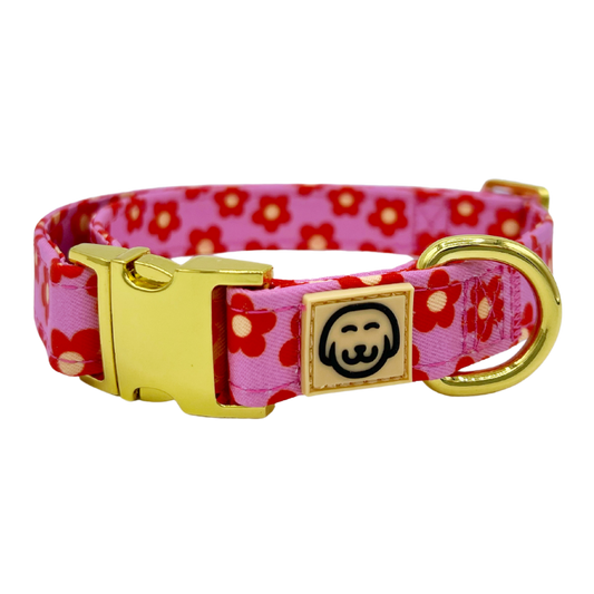 Wildflower Halsband – Halsband van Molly & Co. | Hondenboetiek