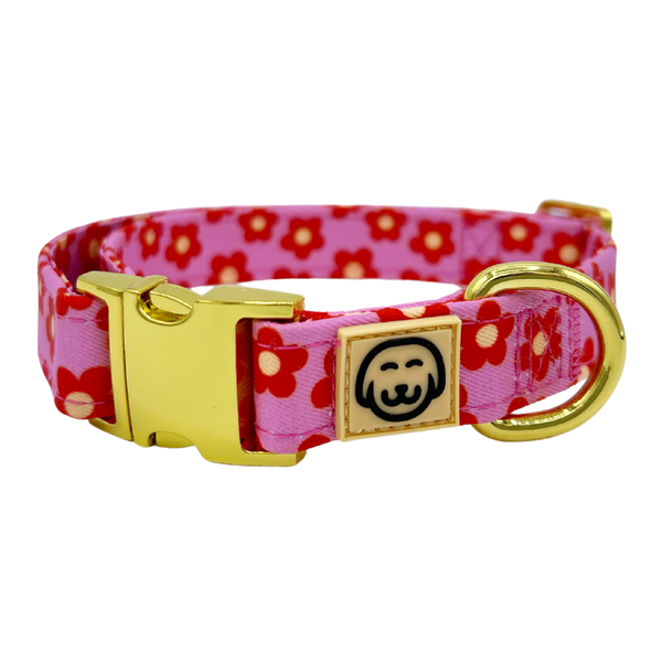Wildflower Halsband