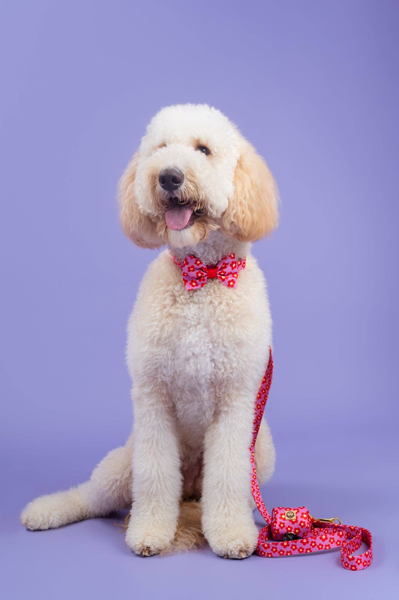 Wildflower Leiband - Molly & Co. – Leiband van Molly & Co. | Hondenboetiek (afbeelding 10)