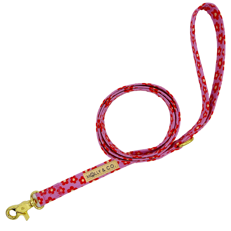 Wildflower Leiband - Molly & Co. – Leiband van Molly & Co. | Hondenboetiek (afbeelding 2)