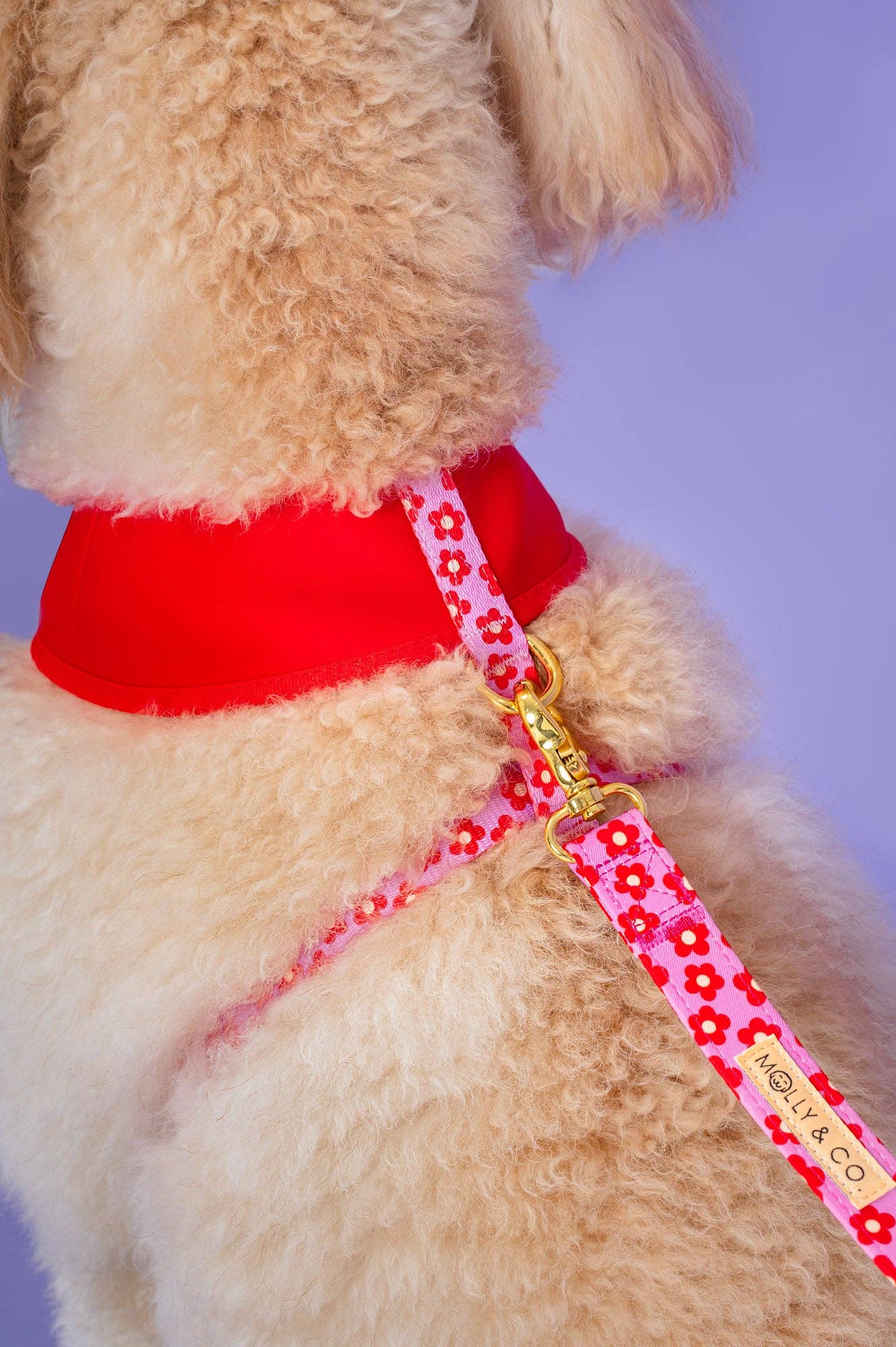 Wildflower Leiband - Molly & Co. – Leiband van Molly & Co. | Hondenboetiek (afbeelding 6)