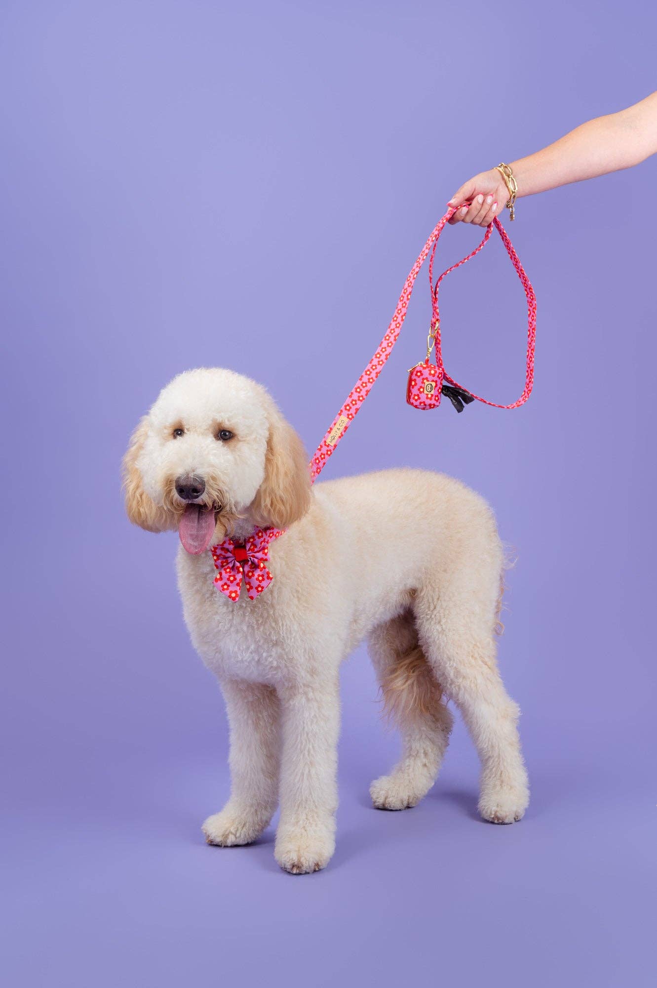 Wildflower Leiband - Molly & Co. – Leiband van Molly & Co. | Hondenboetiek (afbeelding 7)