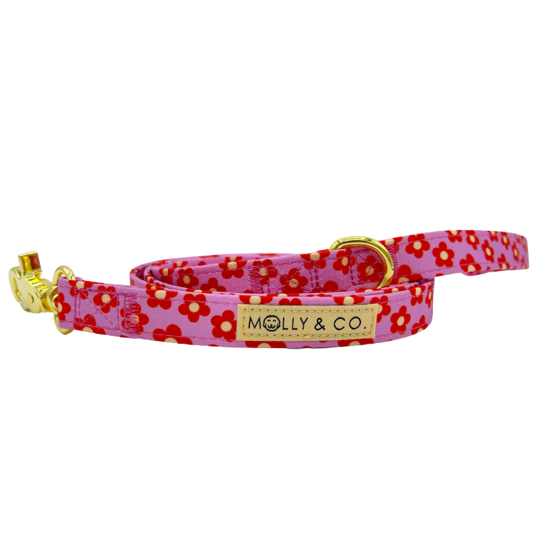 Wildflower Leiband - Molly & Co. – Leiband van Molly & Co. | Hondenboetiek