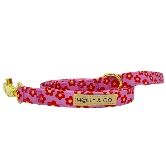Wildflower Leiband - Molly & Co. – Leiband van Molly & Co. | Hondenboetiek