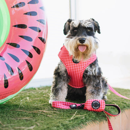 Cherry Pie Leiband – Leiband van Nuk Pets | Hondenboetiek (afbeelding 2)