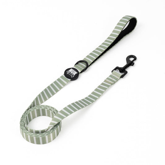Matcha Leiband – Leiband van Nuk Pets | Hondenboetiek