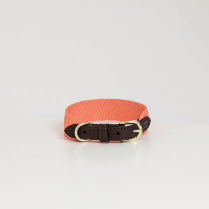 Halsband Jacquard - Oranje