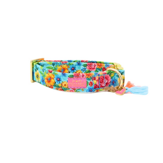 Halsband "Ibiza Flower" – Halsband van Pellina | Hondenboetiek