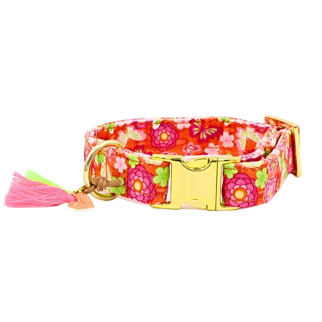 Halsband "Ibiza Spring" – Halsband van Pellina | Hondenboetiek (afbeelding 2)