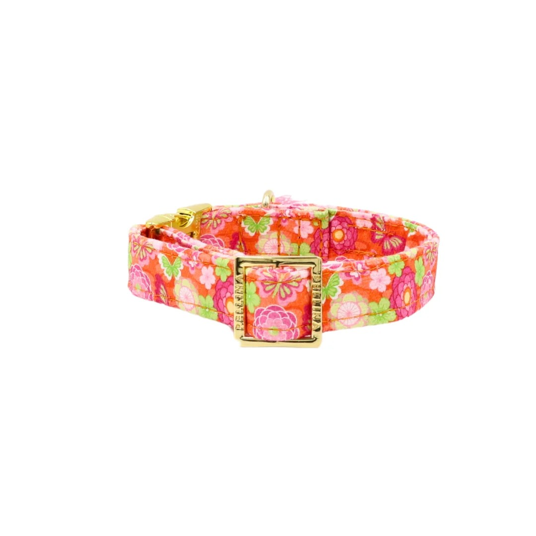 Halsband "Ibiza Spring" – Halsband van Pellina | Hondenboetiek (afbeelding 3)