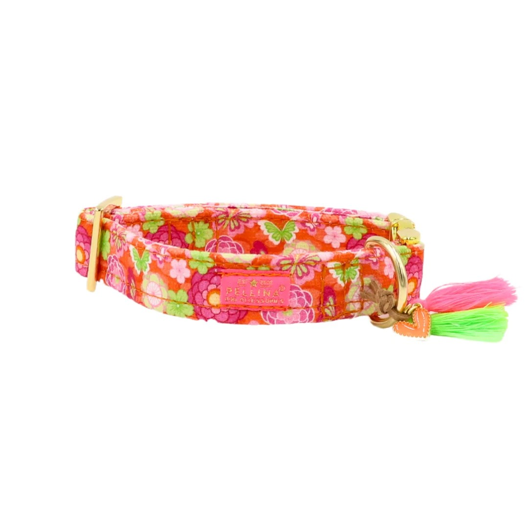 Halsband "Ibiza Spring" – Halsband van Pellina | Hondenboetiek