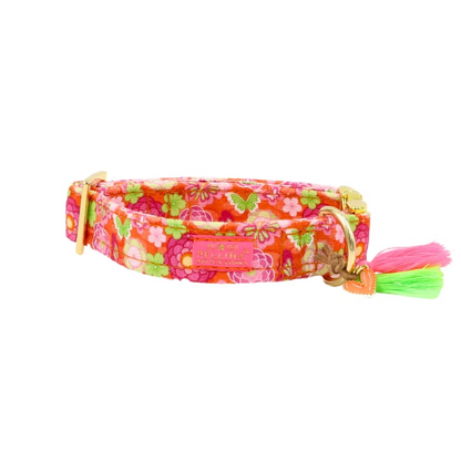 Halsband "Ibiza Spring" – Halsband van Pellina | Hondenboetiek