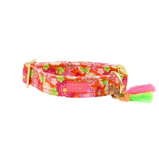 Halsband "Ibiza Spring" – Halsband van Pellina | Hondenboetiek
