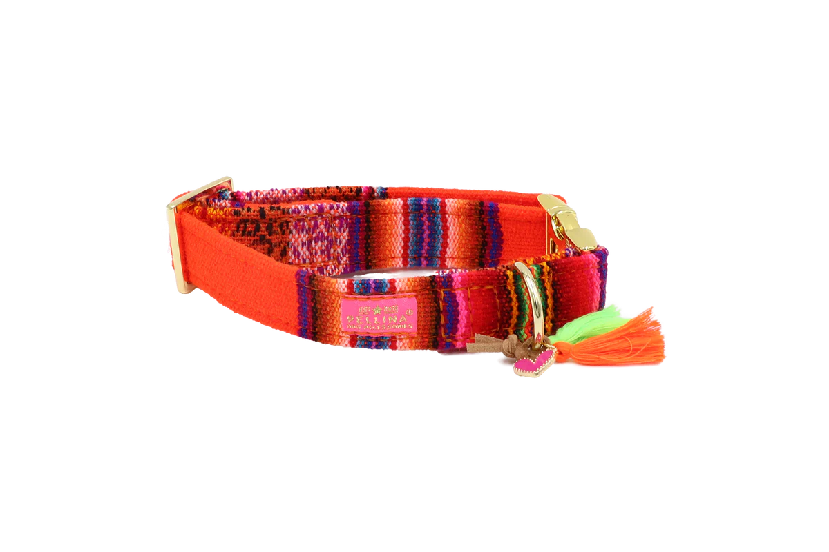 Halsband "LaaBoheme" Neon Oranje – Halsband van Pellina | Hondenboetiek