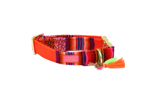 Halsband "LaaBoheme" Neon Oranje – Halsband van Pellina | Hondenboetiek