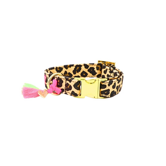 Halsband LeoLove – Halsband van Pellina | Hondenboetiek