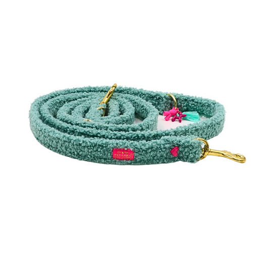 Leiband Cosy Mint – Leiband van Pellina | Hondenboetiek