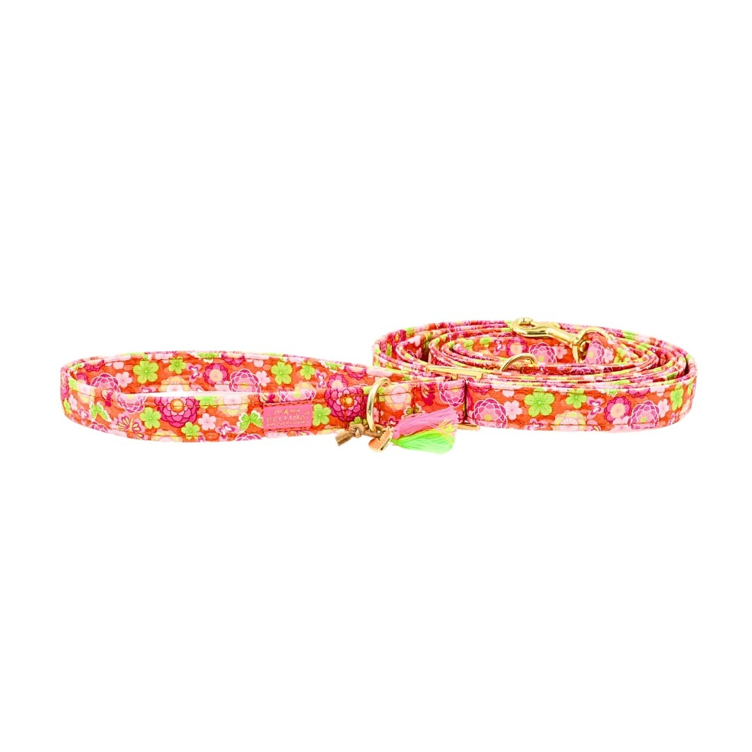 Leiband "Ibiza Spring" – Leiband van Pellina | Hondenboetiek (afbeelding 2)