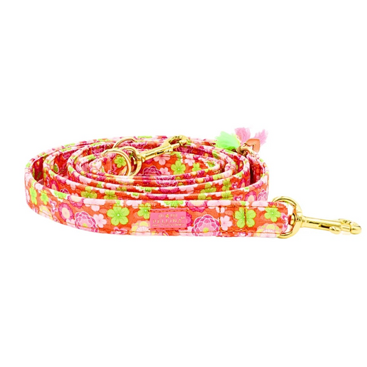 Leiband "Ibiza Spring" – Leiband van Pellina | Hondenboetiek