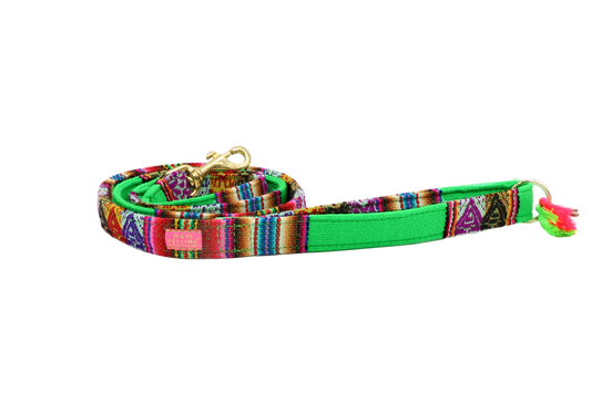 Leiband "LaaBoheme" Neon Groen – Leiband van Pellina | Hondenboetiek