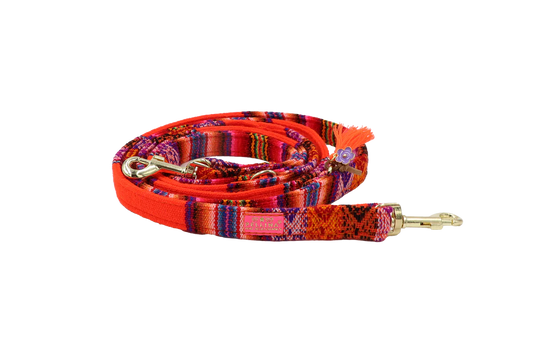 Leiband "LaaBoheme" Orange – Leiband van Pellina | Hondenboetiek