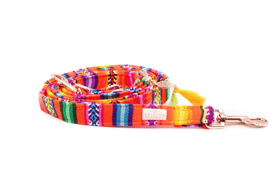 Leiband LaaVida NEON Orange – Leiband van Pellina | Hondenboetiek
