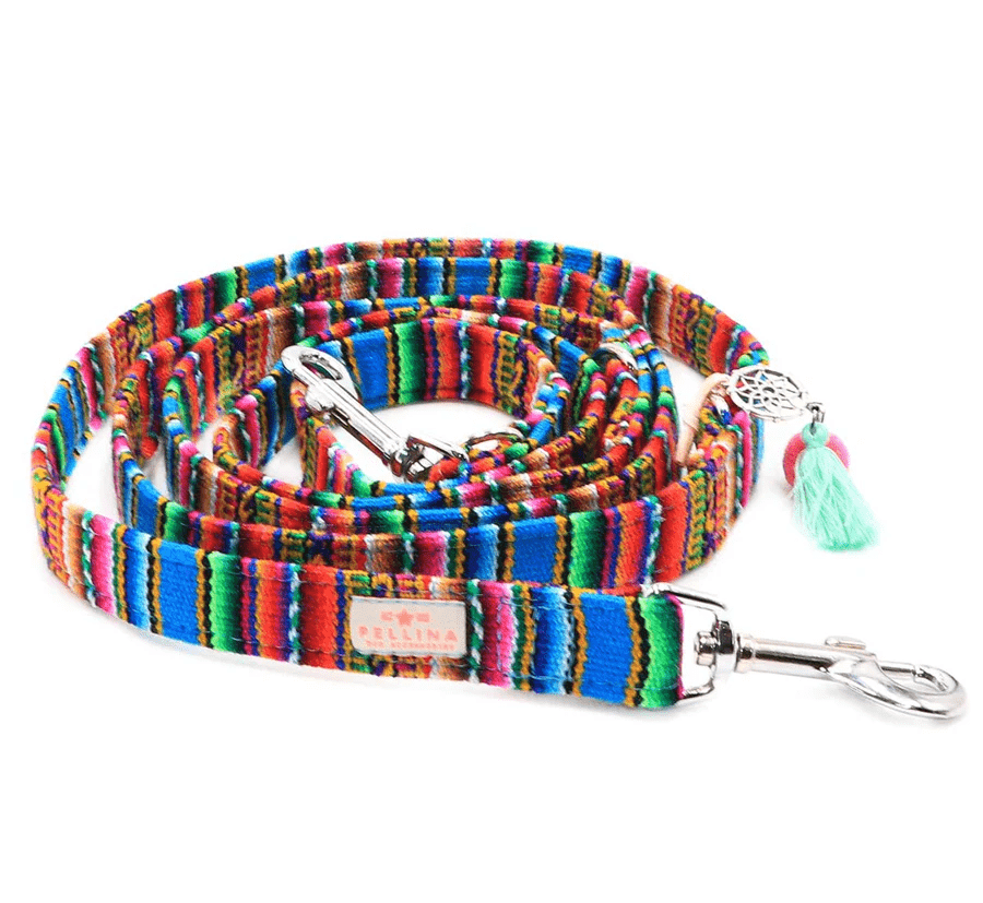 Leiband LaaVida Turquoise – Leiband van Pellina | Hondenboetiek