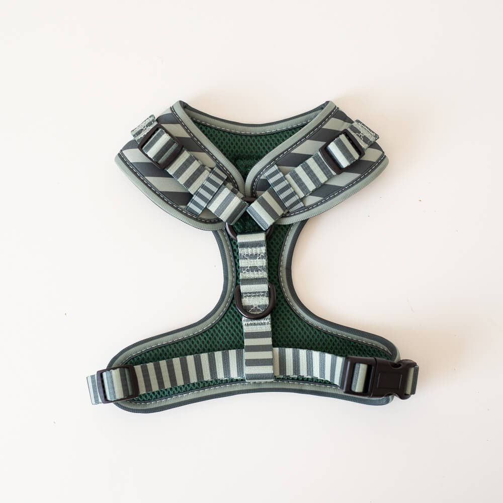 Harnas Stripy Stripes – Leiband van Pip and Palms | Hondenboetiek (afbeelding 3)