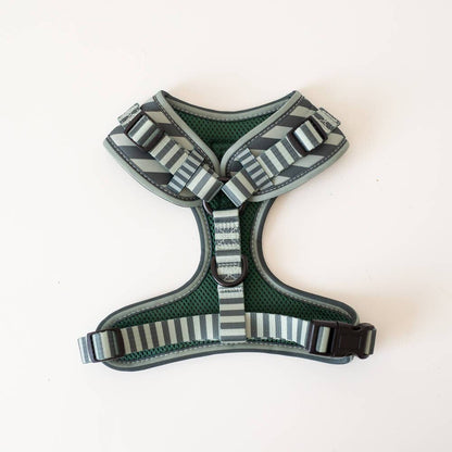 Harnas Stripy Stripes – Leiband van Pip and Palms | Hondenboetiek (afbeelding 3)