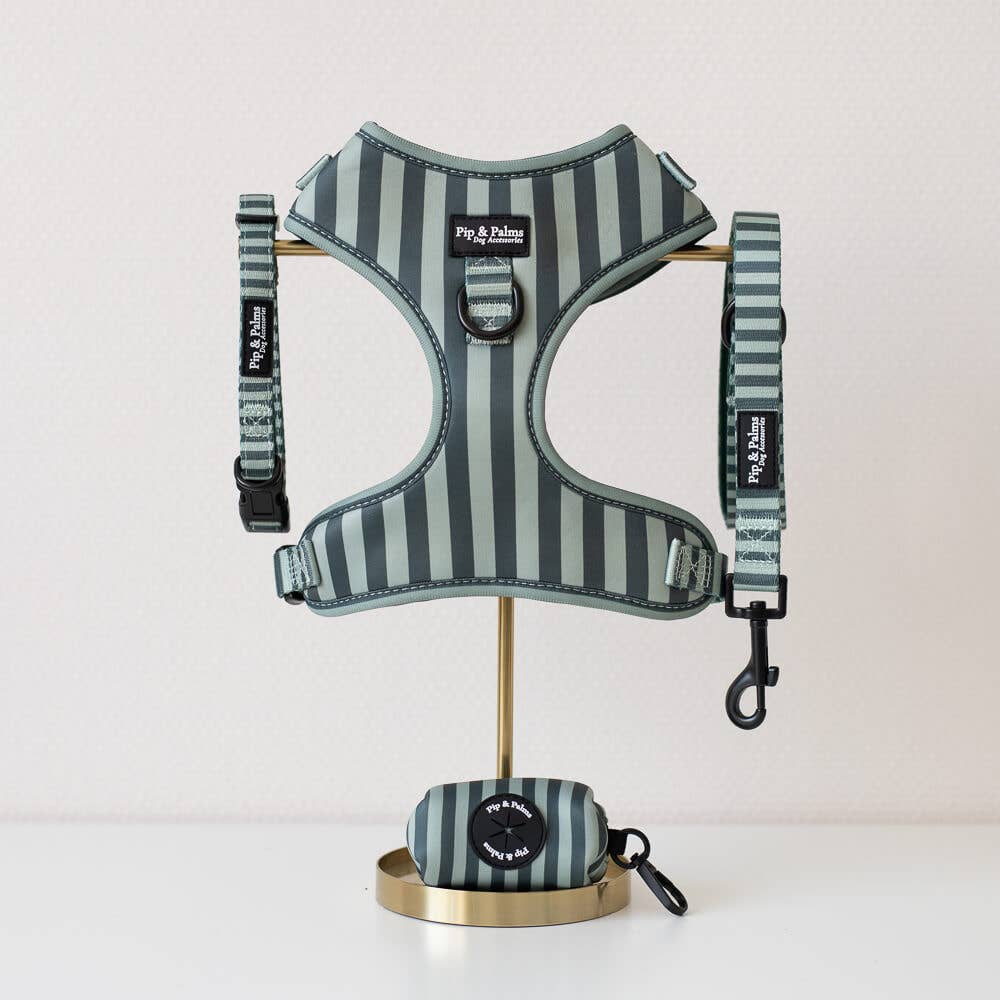 Harnas Stripy Stripes – Leiband van Pip and Palms | Hondenboetiek (afbeelding 4)