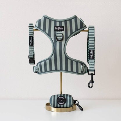Harnas Stripy Stripes – Leiband van Pip and Palms | Hondenboetiek (afbeelding 4)