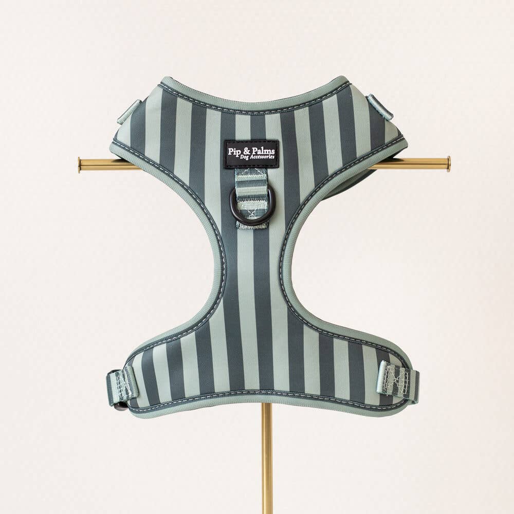Harnas Stripy Stripes – Leiband van Pip and Palms | Hondenboetiek