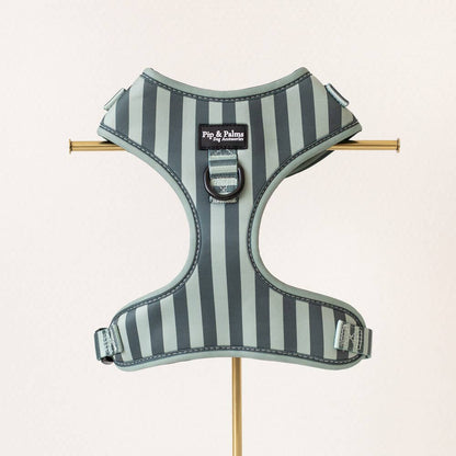 Harnas Stripy Stripes – Leiband van Pip and Palms | Hondenboetiek